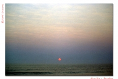 ocean