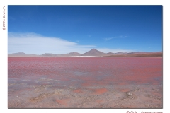 Laguna rosada