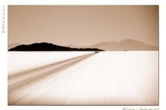 Salt desert s