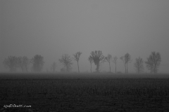 DDF_1615